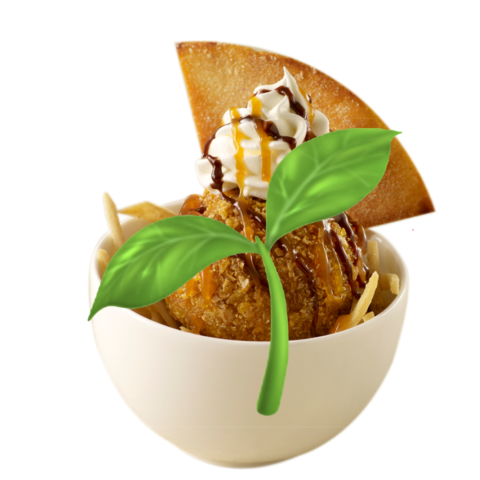Deep Fried Ice Cream🍃